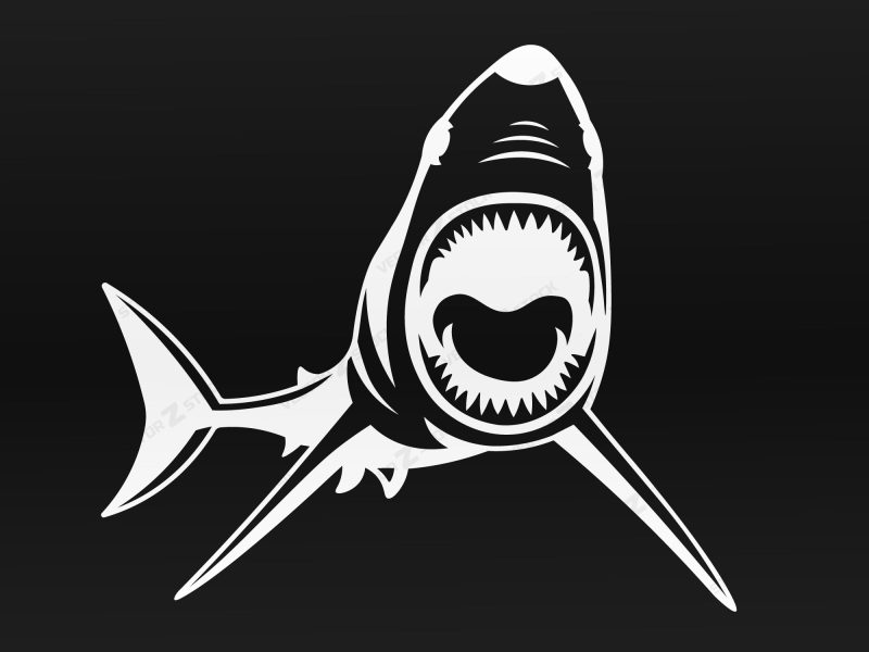 Shark Face SVG, Shark SVG, Fish SVG, Teeth SVG, Shark bite SVG