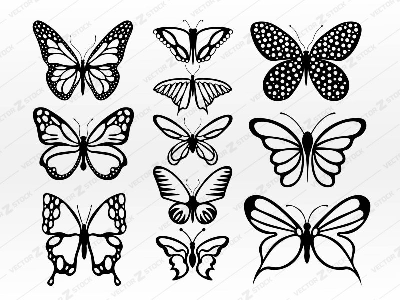 Butterflies SVG Vector, Butterflies SVG, Beautiful SVG, Beauty, Insect SVG