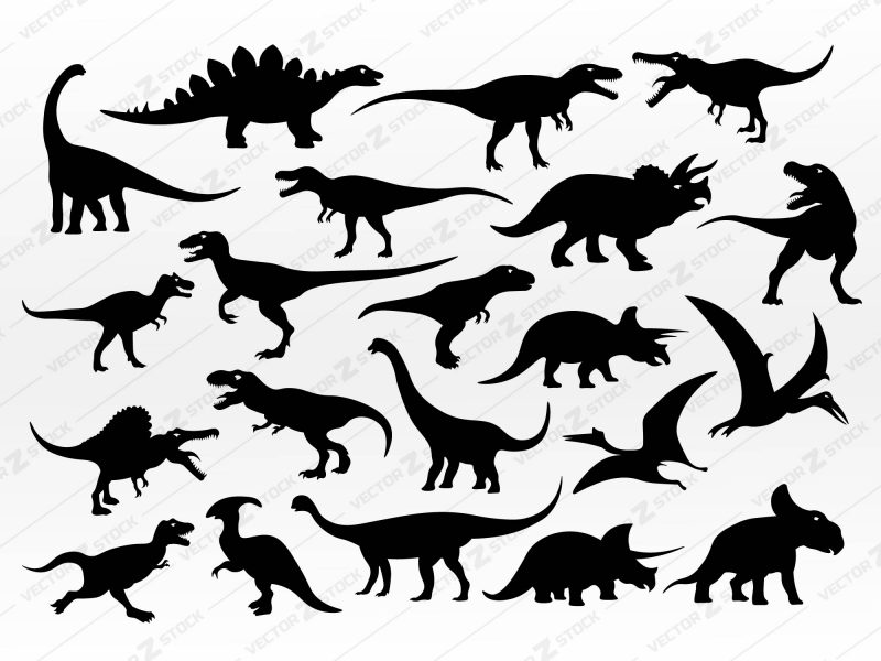 Dinosaur SVG, Dino SVG, Rex SVG, Jurassic SVG, Velociraptor SVG, Stegosaurus SVG, Dinosaur Silhouette