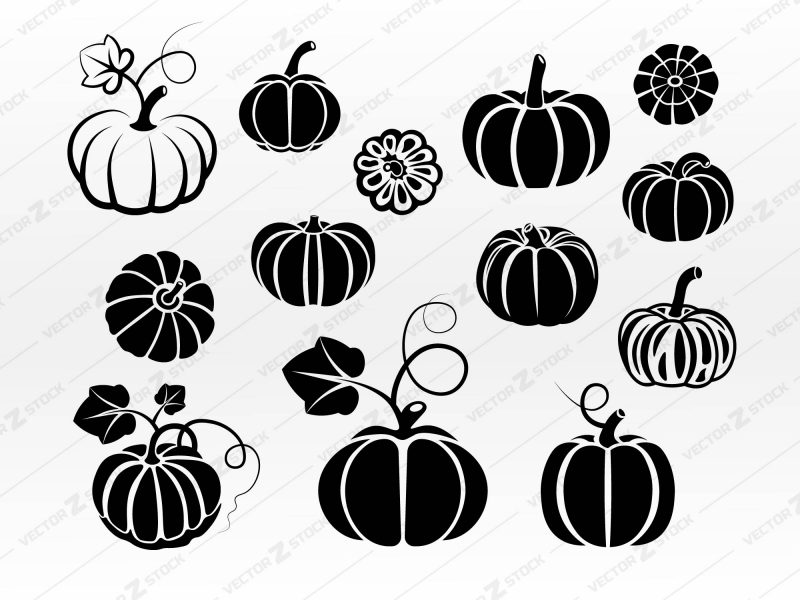 Pumpkin SVG, Farm SVG, Vegetables SVG, Halloween SVG, Autumn SVG