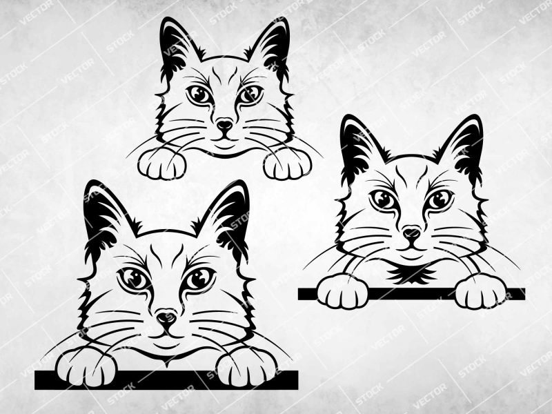 Peeking cat SVG, Cat SVG, Cat face SVG, Kitten SVG, Kitty SVG, Cat Vector, DXF, PNG, EPS