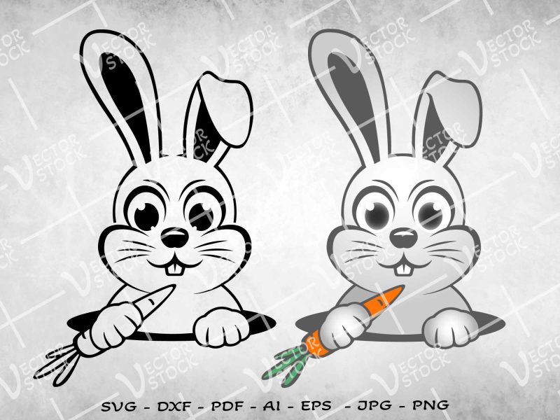 Bunny with carrot SVG, Rabbit Face SVG, Bunny face SVG, Cartoon Rabbit SVG, Easter Bunny SVG, Easter SVG, Farm animal SVG