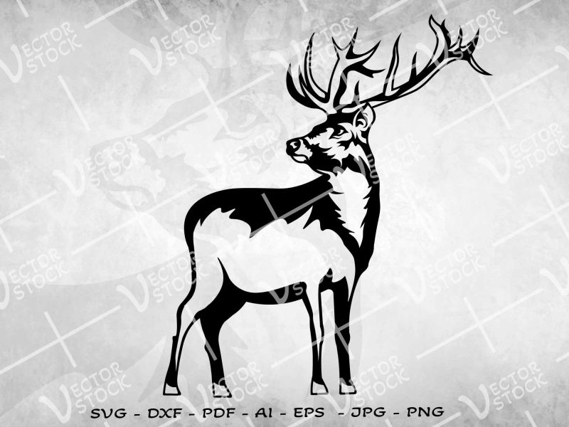 Deer SVG, Animal SVG, Deer Hunting SVG, Deer Head SVG, Animal Face, Deer Face SVG