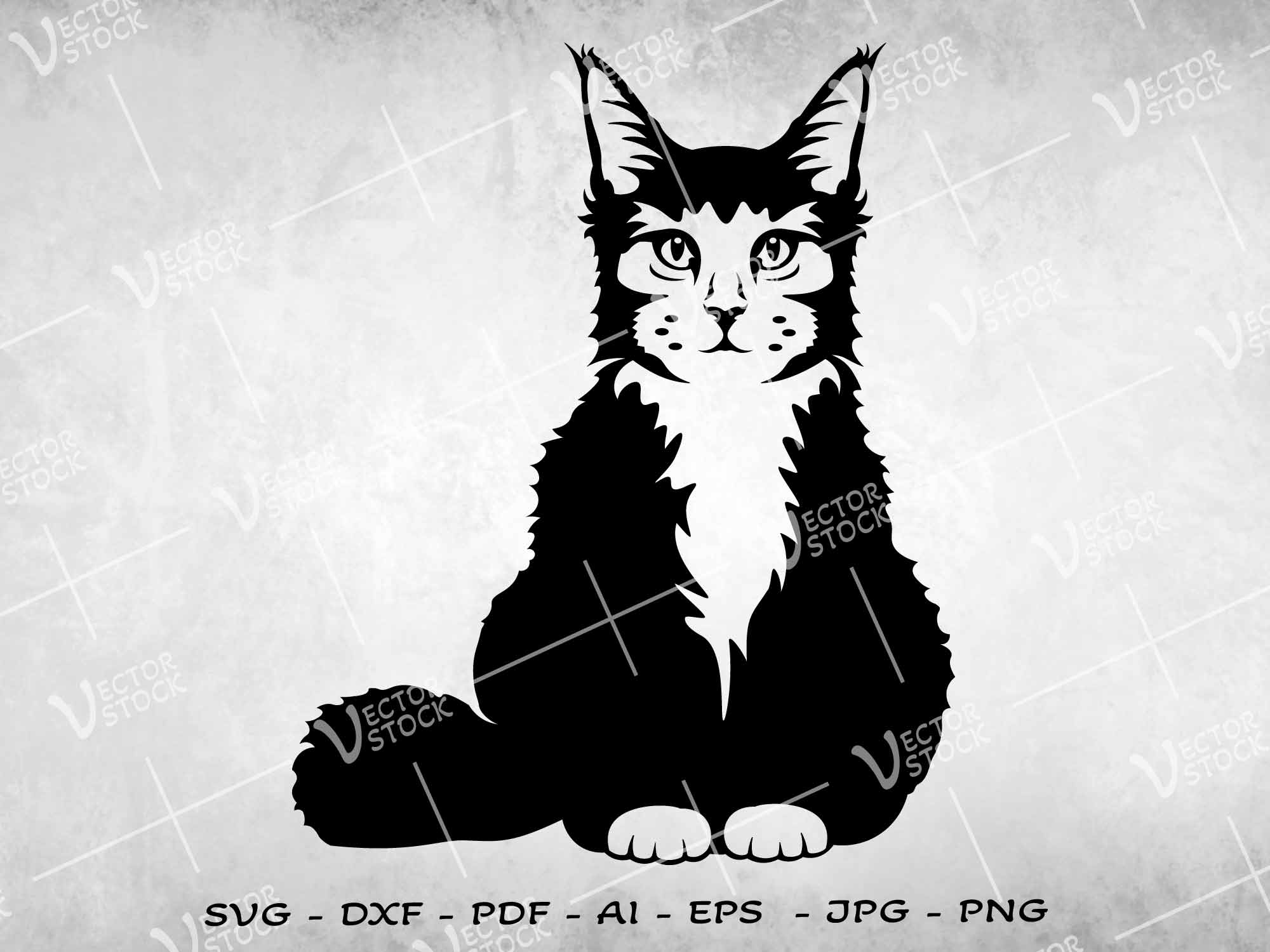 Maine Coon Cat SVG, Maikun Cat SVG, Kitty SVG, Cat face SVG,