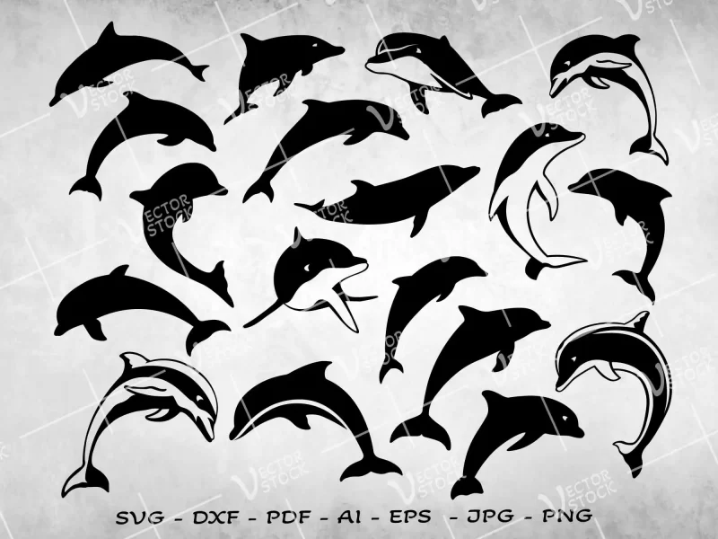 Dolphin SVG Bundle