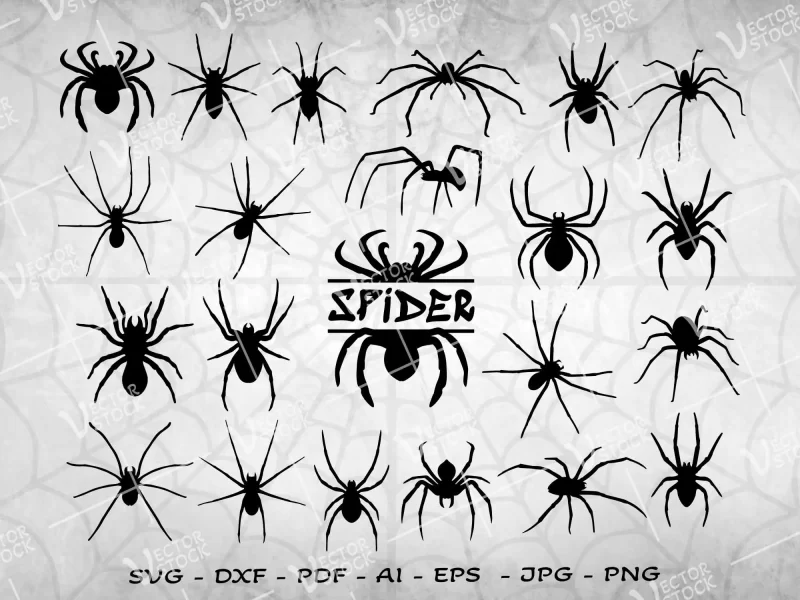 Spider silhouettes bundle SVG